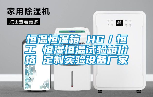 恒溫恒濕箱 HG/恒工 恒濕恒溫試驗箱價格 定制實驗設(shè)備廠家
