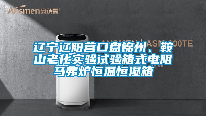 遼寧遼陽營(yíng)口盤錦州、鞍山老化實(shí)驗(yàn)試驗(yàn)箱式電阻馬弗爐恒溫恒濕箱