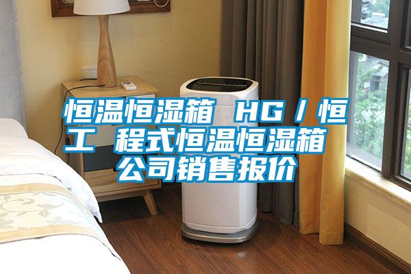 恒溫恒濕箱 HG/恒工 程式恒溫恒濕箱 公司銷售報(bào)價(jià)