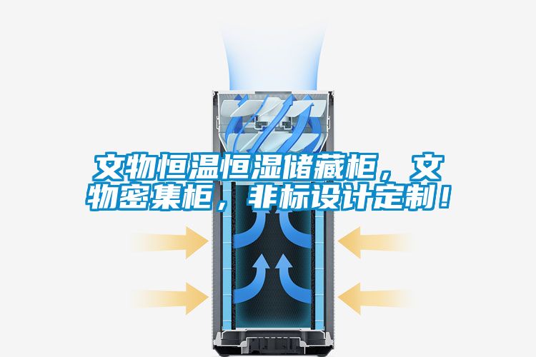 文物恒溫恒濕儲藏柜，文物密集柜，非標設計定制！