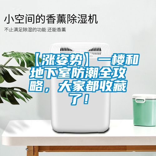 【漲姿勢】一樓和地下室防潮全攻略，大家都收藏了！