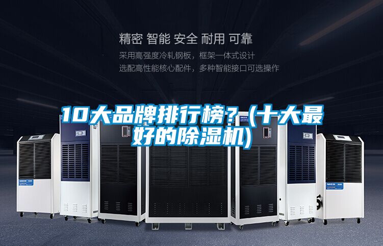 10大品牌排行榜?(十大最好的除濕機(jī))