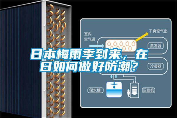 日本梅雨季到來，在日如何做好防潮？