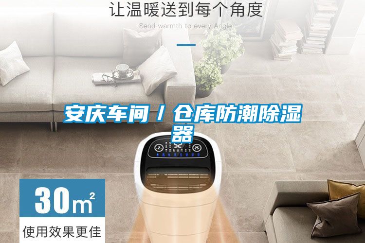 安慶車(chē)間/倉(cāng)庫(kù)防潮除濕器
