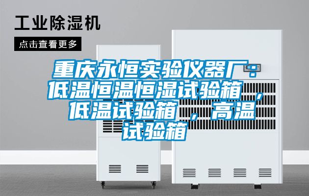 重慶永恒實(shí)驗(yàn)儀器廠:低溫恒溫恒濕試驗(yàn)箱 , 低溫試驗(yàn)箱 , 高溫試驗(yàn)箱