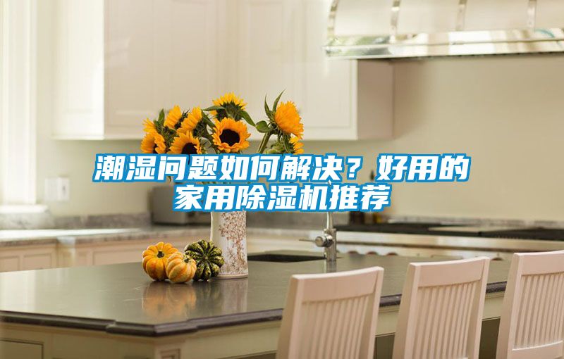 潮濕問題如何解決？好用的家用除濕機推薦