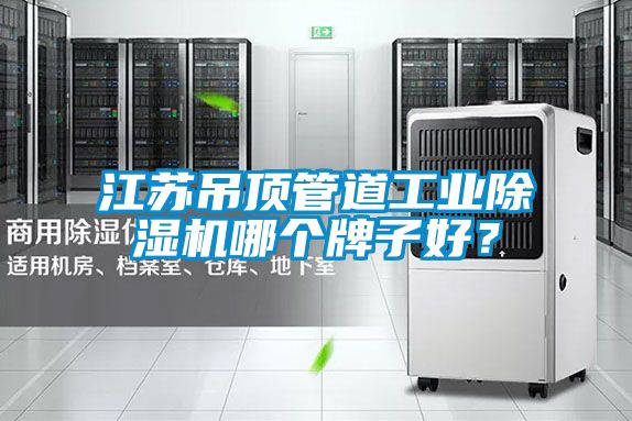 江蘇吊頂管道工業(yè)除濕機(jī)哪個(gè)牌子好？