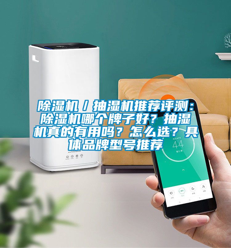 除濕機／抽濕機推薦評測：除濕機哪個牌子好？抽濕機真的有用嗎？怎么選？具體品牌型號推薦
