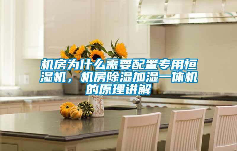 機房為什么需要配置專用恒濕機,機房除濕加濕一體機的原理講解