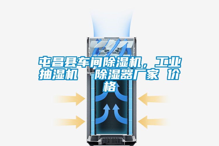 屯昌縣車間除濕機，工業抽濕機  除濕器廠家 價格