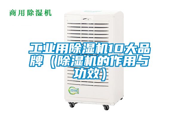 工業用除濕機10大品牌(除濕機的作用與功效)