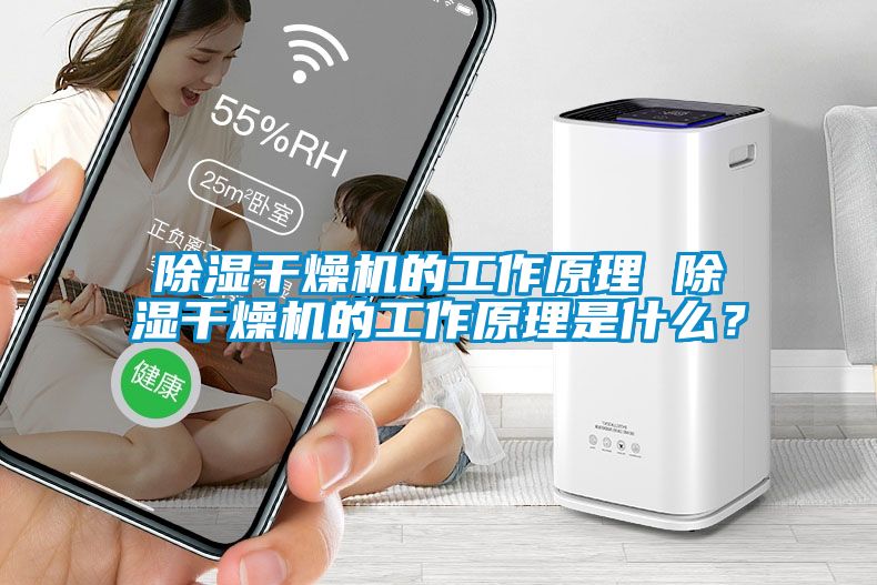 除濕干燥機的工作原理 除濕干燥機的工作原理是什么？