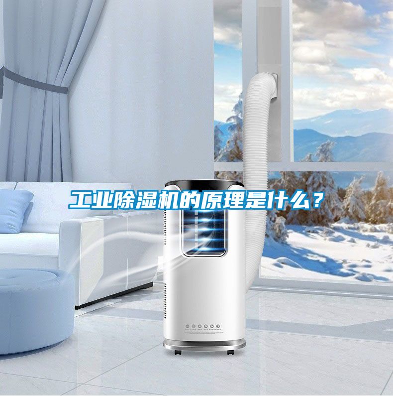 工業(yè)除濕機(jī)的原理是什么?